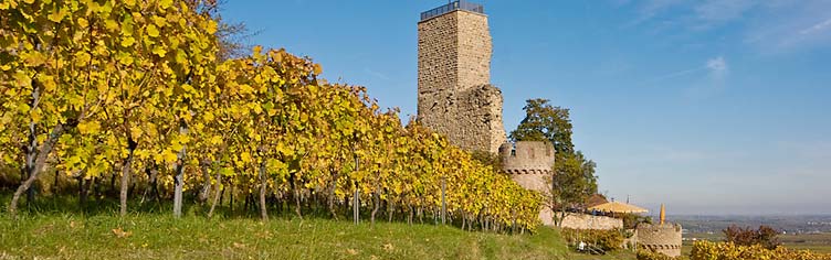 Wachenburg in Wachenheim bei Bad Dürkheim / Pfalz